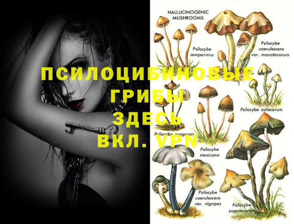 экстази Богородск