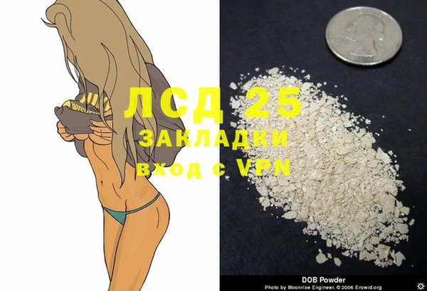 дживик Богданович