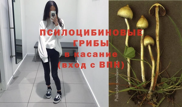 Альфа ПВП Приозерск