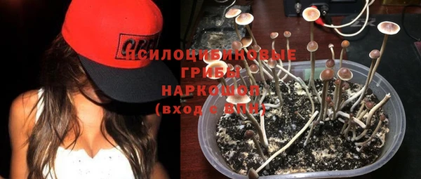 дживик Богданович