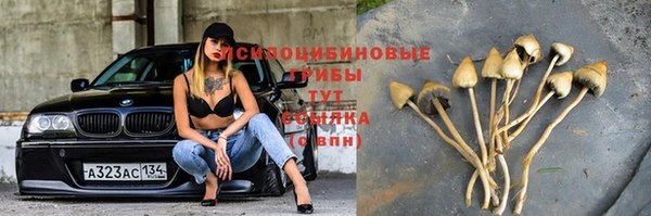 экстази Богородск